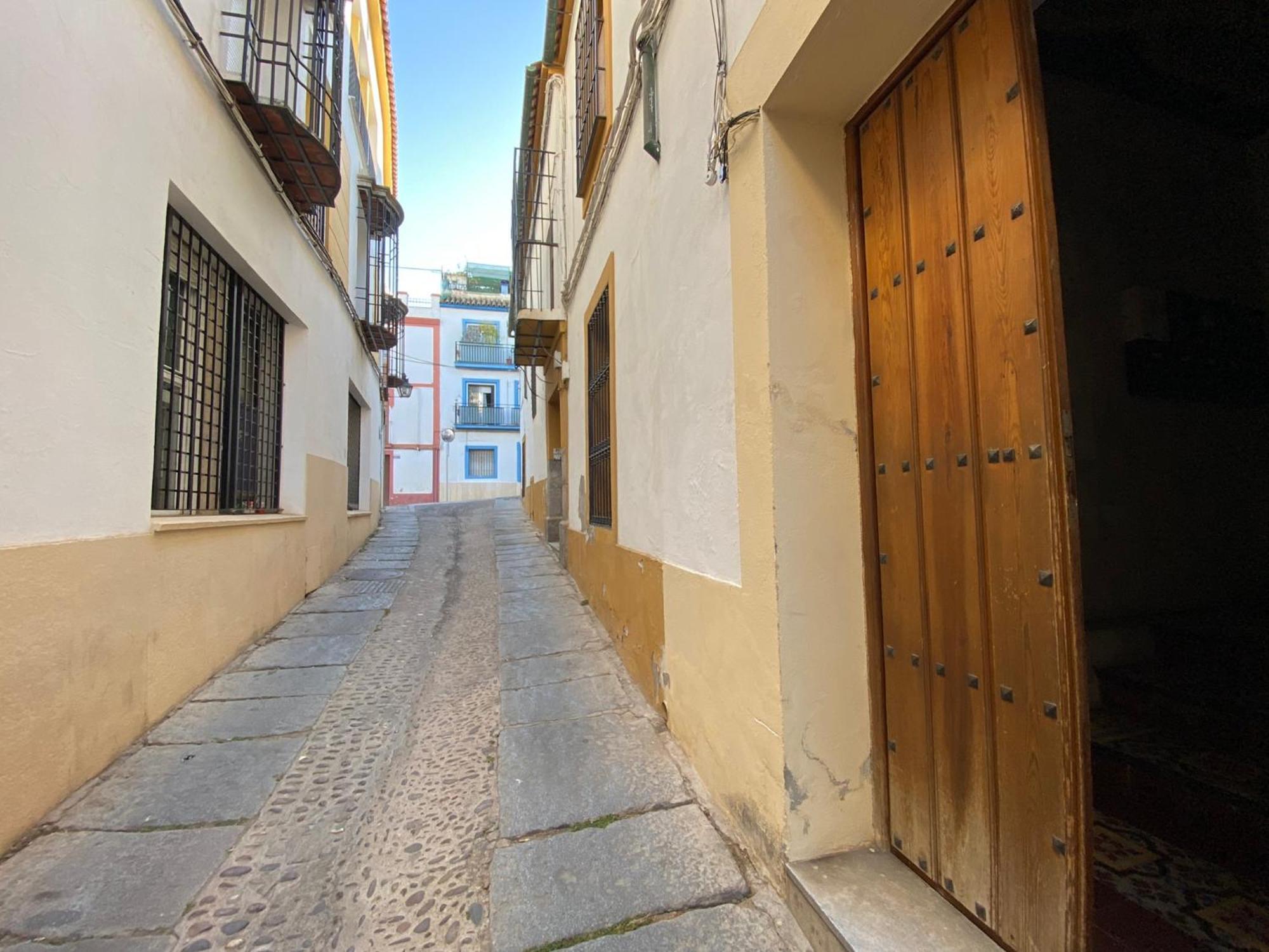 Suites Del Mar Y Suite De Cordoba - Apartmentos En Pleno Centro 외부 사진